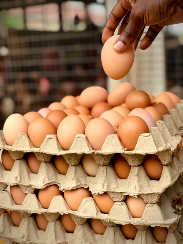 Table Eggs